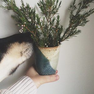 Meet your Posher, Miranda